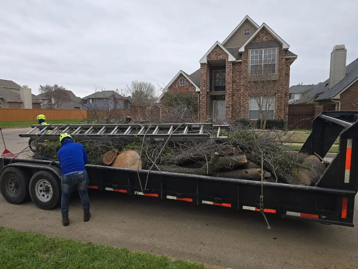 Expert Tree Pest Control with proper safety equipment in East Bank